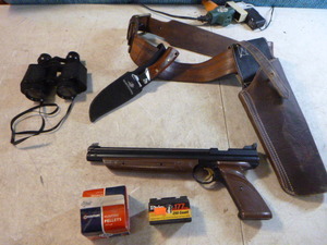 lot 73 image: American Classic .177 Pellet Pistol