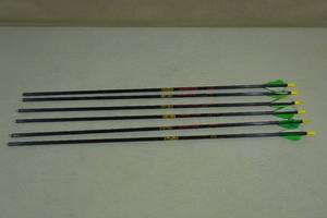 lot 19 image: 6 Gold Tip Carbon Shaft Hunter 340 Arrows