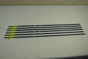 lot 22 image: 6 Carbon Express CX 200 Arrows