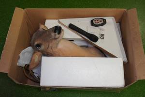 lot 64 image: Buck Animated Trophy Talks, Sings & Dances