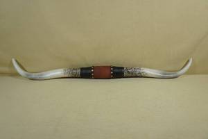 lot 100 image: Texas Longhorn Resin Horns