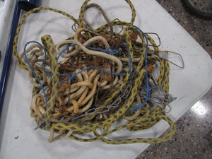 lot 81 image: Misc. Fishing Items