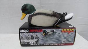 Duck Decoy