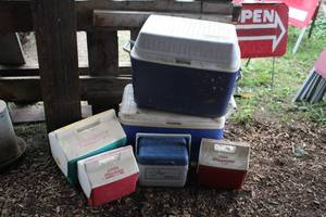 lot 1123 image: Lot of (6) Igloo Personal and Chest Coolers