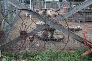 lot 1124 image: Vintage 53 Iron Wagon Wheel