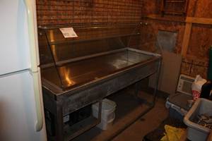 lot 952 image: NFS Stainless Steel Salad BarBeverage Cooler