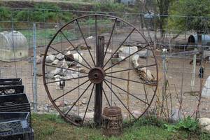 lot 1029 image: Vintage 53 MetalWooden Spoke Hub Wagon Wheel