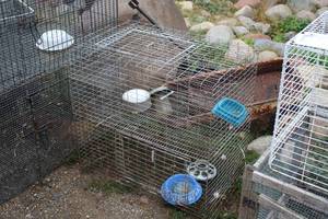 lot 1061 image: Lot of (2) Metal Animal Cages - Two-Level, Dual