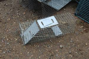 lot 1129 image: Live Trap