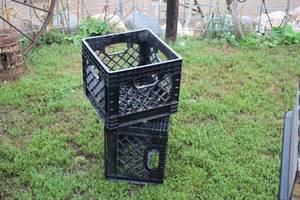 lot 1033 image: Lot of (2) Plastic Milk Crates