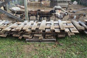 lot 1164 image: Lot of (5) Rough-Sawn Wood Fence Panels