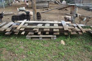 lot 1165 image: Lot of (5) Rough-Sawn Wood Fence Panels