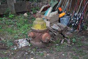 lot 1183 image: Fire Hydrant