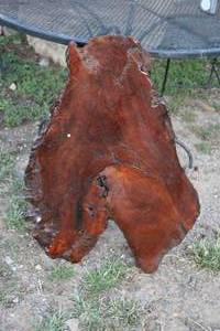 lot 1954 image: Laquered Redwood Live Edge Slab 33x22x2-12