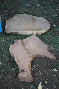 lot 1955 image: Lot of (3) Raw Wood Cut Slabs