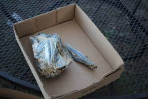 lot 1959 image: Kyanite Petrified Piece