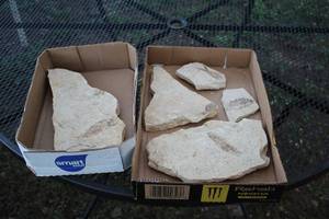 lot 1960 image: Lot of (5) Fish Fossils