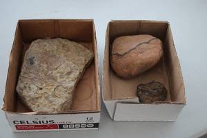 lot 1962 image: Lot of (3) Fossils