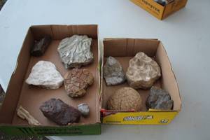 lot 1966 image: Lot of (11) Crystals and Fossils