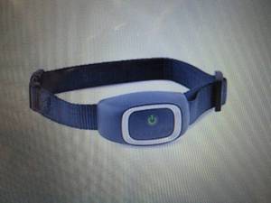 PetSafe Static Bark Collar open box...