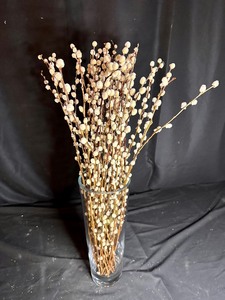 lot 119 image: Glass Vase with Pussy Willows