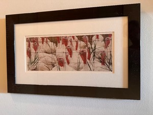 lot 36 image: Framed Photograph Print of Turkeys in Cage