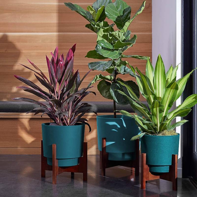 lot 465 image: NEW Bloem Hopson 10 Charleston Green Planter WWood Stand (HOP1053-W)