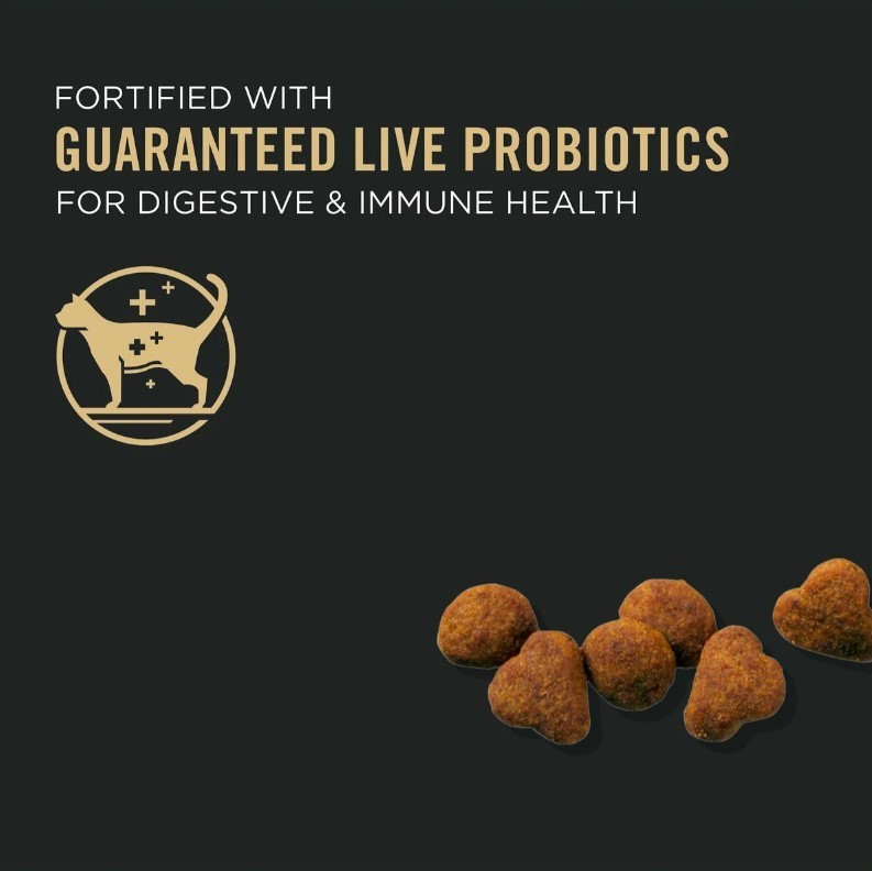 lot 301 image: NEW Pair of  Purina Pro Plan Prime Plus Adult 7 Chicken & Rice Formula Dry Cat Food Bags