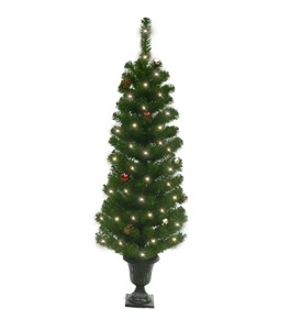 lot 648 image: NEW Celebrations Home 4 ft. Potted Douglas Fir Prelit 35 count Artificial Tree - Multi-Colored