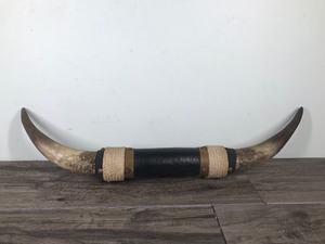 lot 181 image: Vintage Steer Horns