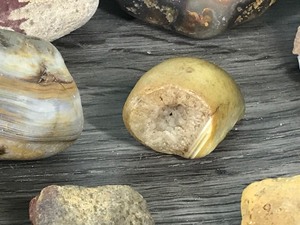 lot 333 image: Lot of Rocks with Agates