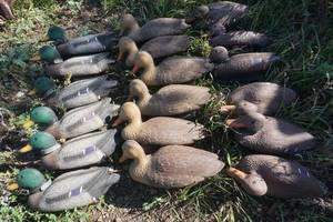 lot 103 image: Duck Decoys