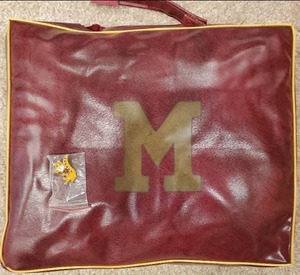 lot 148 image: Vintage 50s Minnesota University Stadium Cushion w Blanket & Pin