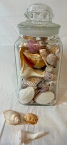 lot 208 image: Vintage Glass Canister Candy Jar Full of Sea Shells
