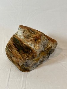 lot 266 image: PETRIFIED WOOD Large Garden Rock 10 Pounds HEAVY