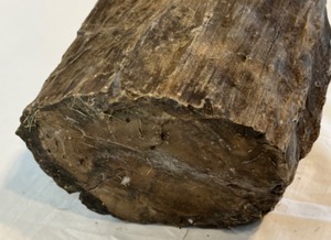 lot 267 image: PETRIFIED WOOD Brown Color Statement Piece