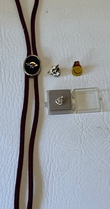 lot 314 image: Vintage MASONIC Bolo Tie & Pins