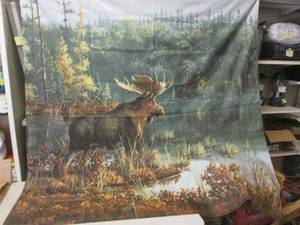 (BSB) Creative Bath Shower Curtain - Or Use as Wall Tapestry  Photography Back Drop Etc