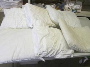 (A-3T) 6 Assorted Bed Pillows...