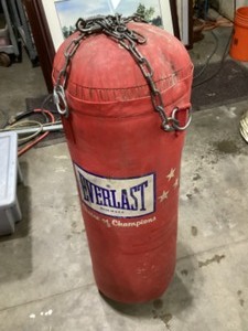 Everlast Punching Bag