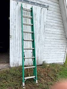 lot 38 image: 18 Davidson Extension Ladder