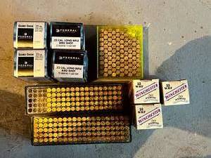 lot 216 image: 22 Shells