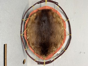 Beaver Pelt