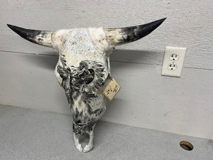 Steer Head  painted on