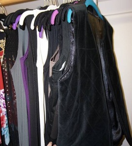 Clothing Womans Dress Shirts Blouse Sleeveless Orvis, Lena Gabrielles, CW Creek, Calvin Klein, Sympli, Chicos Etc.