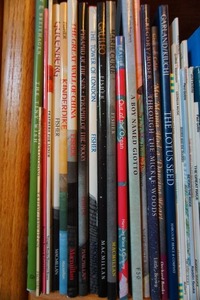 Books...Childrens Robin Hood Etc.