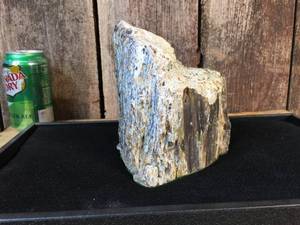 lot 180 image: Cut Petrified Wood Mineral Specimen