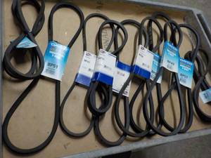 10 ct Dayco Belts - various sizes...