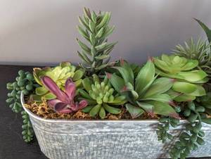lot 61 image: Decorative Potted Faux Succulents