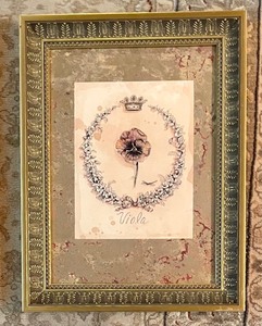 lot 243 image: Viola and Papaver Framed Prints